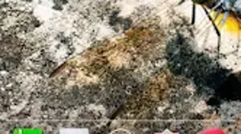 的第0张图片