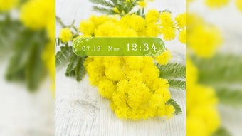 รูปภาพ 0 สำหรับ 