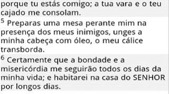 Bíblia em Português