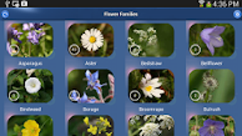  için 0 numaralı resim