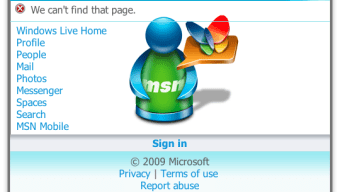 Windows Live Messenger Widget