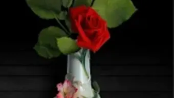 Roses images GIFs - Flowers HD