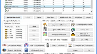 VPN Gate Client