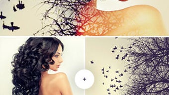 Изображение 0 для 