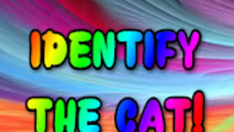 Cat Breeds - Identify Your Cat