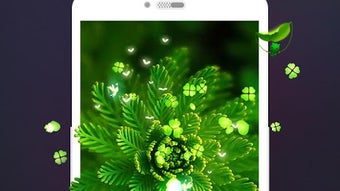 の画像0