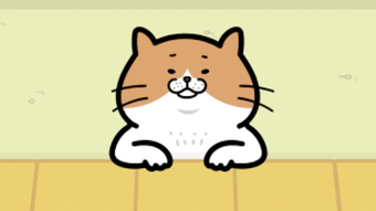 รูปภาพ 0 สำหรับ 