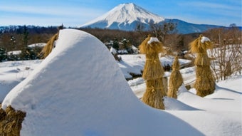 の画像0