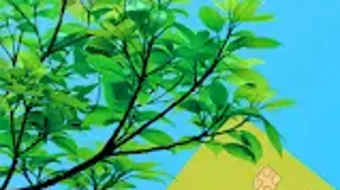 的第0张图片