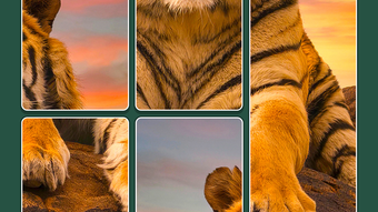  için 0 numaralı resim