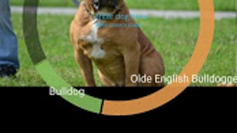 Imagem 0 para 