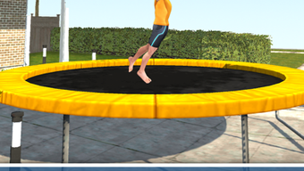 Flip Master