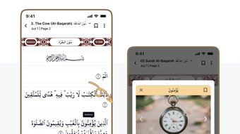 الصورة 0 لـ 