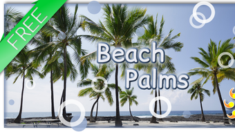 Beach Palms Live Wallpaper