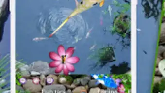 3D Lively Koi Fish Keyboard Theme