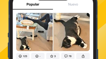 Imagen 0 para 