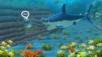  için 0 numaralı resim