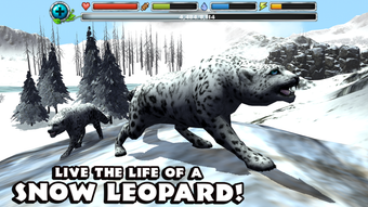 Snow Leopard Simulator