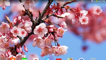 Изображение 0 для 