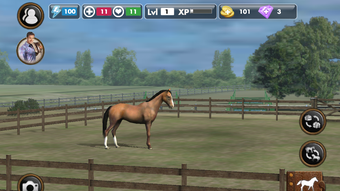 My Horse