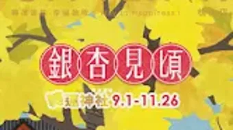 的第0张图片