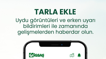 Bild 0 för 