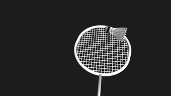 Racket Vs Shuttlecock