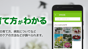 の画像0