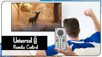 Universal TV Remote Control