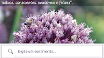 Florais de Saint Germain APK