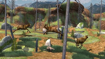  için 0 numaralı resim