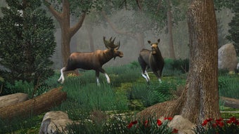 Изображение 0 для 