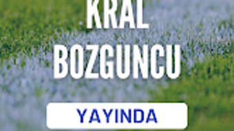 Obraz 0 dla 