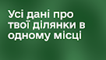 의 이미지 0