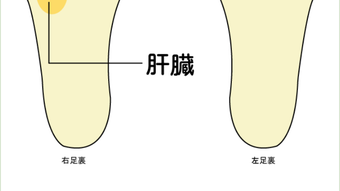 の画像0