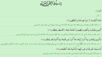الصورة 0 لـ 