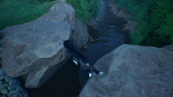 الصورة 0 لـ 