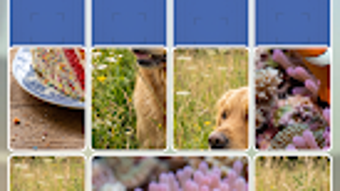 รูปภาพ 0 สำหรับ 