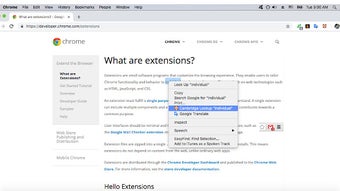 Cambridge Dictionary Lookup for Google Chrome - Extension Download