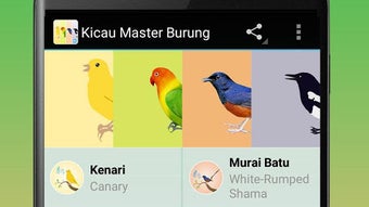 Masteran Burung ( 500 lebih )