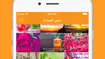 الصورة 0 لـ 