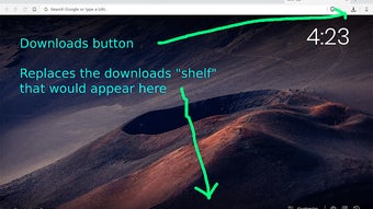 Disable Download Shelf