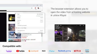 uView Player Picture-in-picture Extension