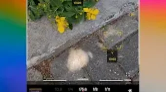 Bild 0 för 