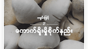 รูปภาพ 0 สำหรับ 