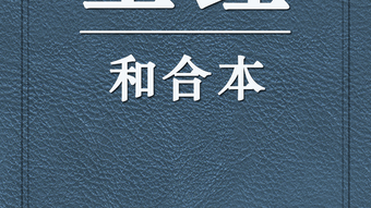 의 이미지 0