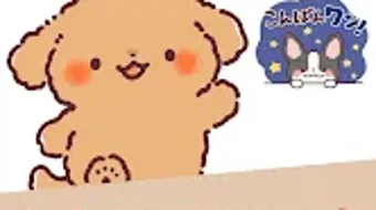 의 이미지 0