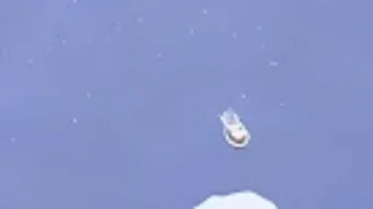 الصورة 0 لـ 