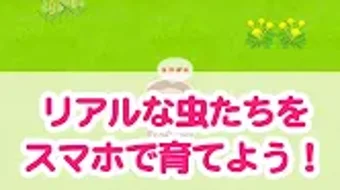の画像0