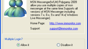 MSN Messenger Polygamy